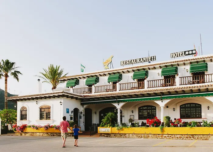 La Codorniz
